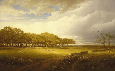 Vieux verger à Newport